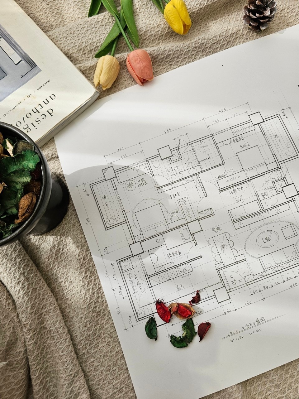 室內設計乙級技術士證照班